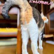 ヒメ日記 2025/08/18 23:44 投稿 ななみPLATINUM SWITCH（スイッチ）新宿店