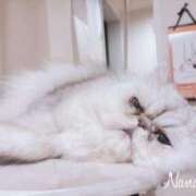 ヒメ日記 2026/01/13 18:49 投稿 ななみPLATINUM SWITCH（スイッチ）新宿店