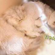 ヒメ日記 2026/01/20 16:04 投稿 ななみPLATINUM SWITCH（スイッチ）新宿店