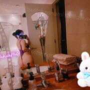 ヒメ日記 2026/04/14 15:02 投稿 ななみPLATINUM SWITCH（スイッチ）新宿店