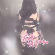 ヒメ日記 2025/04/30 13:45 投稿 みぃか 群馬高崎前橋ちゃんこ