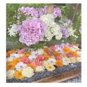 青山雛子 お久しぶりです🐱🤍 お姉さんCLUB