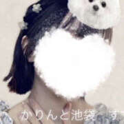 ヒメ日記 2025/01/28 12:32 投稿 すず かりんと池袋