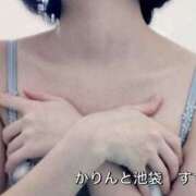 ヒメ日記 2025/01/31 12:00 投稿 すず かりんと池袋