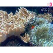 ヒメ日記 2025/07/06 15:20 投稿 ♡めい♡ 梅田ムチぽよ女学院