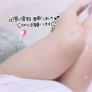 ヒメ日記 2026/02/21 09:30 投稿 ♡めい♡ 梅田ムチぽよ女学院