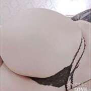 ヒメ日記 2026/02/24 07:25 投稿 内海 りみ こあくまな熟女たち 神戸西・明石店（KOAKUMAグループ）