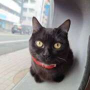 ヒメ日記 2025/03/25 21:37 投稿 もか Jewelry club（ジュエリークラブ）