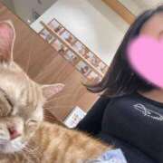 ヒメ日記 2025/04/23 17:27 投稿 もか Jewelry club（ジュエリークラブ）