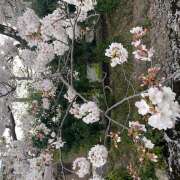 ヒメ日記 2025/04/08 18:13 投稿 じゅん 奥様はエンジェル　立川店