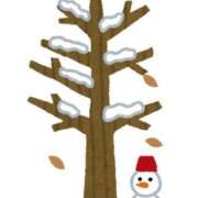 ヒメ日記 2025/12/03 12:49 投稿 みはる 素人美少女専門　町田アンジェリーク（アンジェリークグループ）