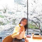 ヒメ日記 2025/04/12 16:48 投稿 山口まどか アロマファンタジー高輪