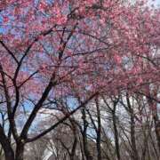 ヒメ日記 2026/02/23 17:39 投稿 さゆき One More奥様　立川店