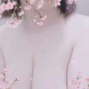 ヒメ日記 2026/03/13 12:25 投稿 とわ 人妻・若妻デリヘル レディプレイス