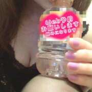 ヒメ日記 2026/04/05 08:34 投稿 とわ 人妻・若妻デリヘル レディプレイス