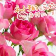 ヒメ日記 2026/04/07 11:30 投稿 とわ 人妻・若妻デリヘル レディプレイス