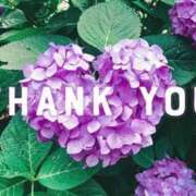 ヒメ日記 2026/04/08 13:44 投稿 とわ 人妻・若妻デリヘル レディプレイス