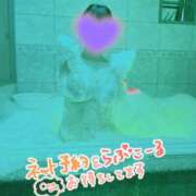ヒメ日記 2026/06/25 12:21 投稿 とわ 人妻・若妻デリヘル レディプレイス