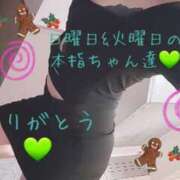 ヒメ日記 2024/12/17 23:56 投稿 緑川ゆう セレブショップ新宿（東京ハレ系）