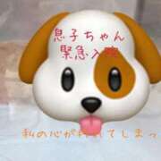 ヒメ日記 2024/12/23 17:44 投稿 緑川ゆう セレブショップ新宿（東京ハレ系）