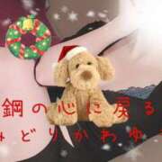 ヒメ日記 2024/12/23 17:52 投稿 緑川ゆう セレブショップ新宿（東京ハレ系）