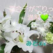 ヒメ日記 2025/02/11 14:17 投稿 緑川ゆう セレブショップ新宿（東京ハレ系）