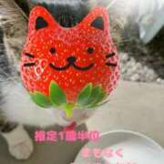 ヒメ日記 2025/04/21 15:54 投稿 緑川ゆう セレブショップ新宿（東京ハレ系）