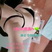 ヒメ日記 2025/06/03 16:16 投稿 緑川ゆう セレブショップ新宿（東京ハレ系）