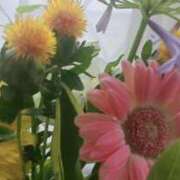 ヒメ日記 2025/07/07 15:42 投稿 緑川ゆう セレブショップ新宿（東京ハレ系）