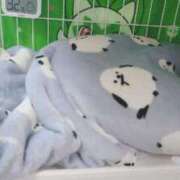 ヒメ日記 2025/07/28 17:39 投稿 緑川ゆう セレブショップ新宿（東京ハレ系）