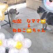 ヒメ日記 2026/02/09 16:54 投稿 緑川ゆう セレブショップ新宿（東京ハレ系）