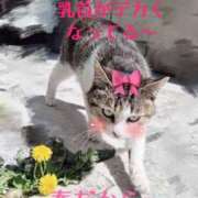 ヒメ日記 2026/04/03 17:26 投稿 緑川ゆう セレブショップ新宿（東京ハレ系）