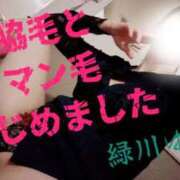 ヒメ日記 2026/04/06 16:52 投稿 緑川ゆう セレブショップ新宿（東京ハレ系）