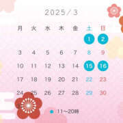 ヒメ日記 2025/02/22 10:16 投稿 はな ハピネス東京