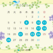 ヒメ日記 2025/05/05 08:47 投稿 はな ハピネス東京