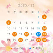 はな 11月の予定 ハピネス東京