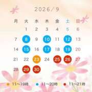 ヒメ日記 2026/08/24 21:17 投稿 はな ハピネス東京
