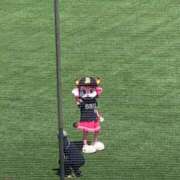 ヒメ日記 2025/11/21 16:33 投稿 えりな 美少女宅急便