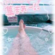 ヒメ日記 2025/04/25 11:41 投稿 るく サンキュー沼津店（サンキューグループ）