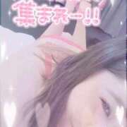 ヒメ日記 2025/11/26 05:11 投稿 るく サンキュー沼津店（サンキューグループ）