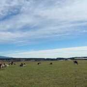 ヒメ日記 2026/01/04 18:47 投稿 るく サンキュー沼津店（サンキューグループ）