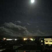 ヒメ日記 2025/06/16 09:00 投稿 みらん SUZUME