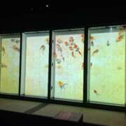 ヒメ日記 2025/06/19 09:00 投稿 みらん SUZUME