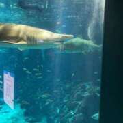 ヒメ日記 2025/06/20 12:00 投稿 みらん SUZUME