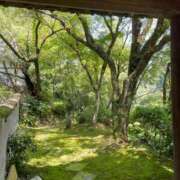 ヒメ日記 2025/09/16 09:00 投稿 みらん SUZUME