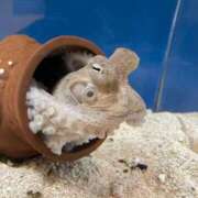 ヒメ日記 2025/10/24 09:00 投稿 みらん SUZUME