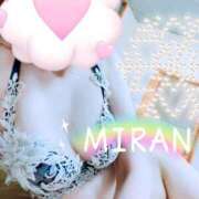 ヒメ日記 2025/10/27 13:30 投稿 みらん SUZUME