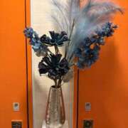 ヒメ日記 2025/12/16 09:55 投稿 みらん SUZUME