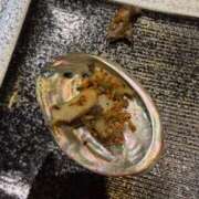 ヒメ日記 2026/03/27 08:45 投稿 みらん SUZUME