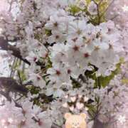 ヒメ日記 2025/04/01 18:58 投稿 満里奈 ホテルだヨ！全員集合